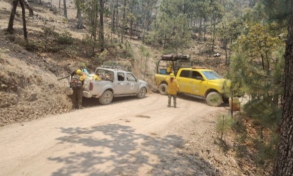 Conafor combate incendio en La Yesca, Nayarit; ha consumido más de 3 mil hectáreas