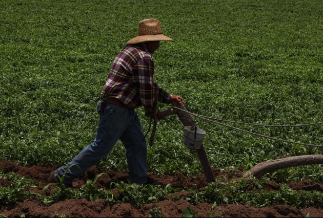 Publican en DOF Programa Especial Concurrente para el Desarrollo Rural Sustentable 2026-2030