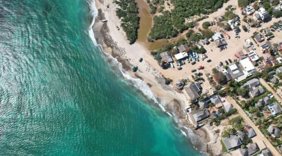 Semarnat frena Baja Bay Club por riesgos al arrecife y a tortugas marinas