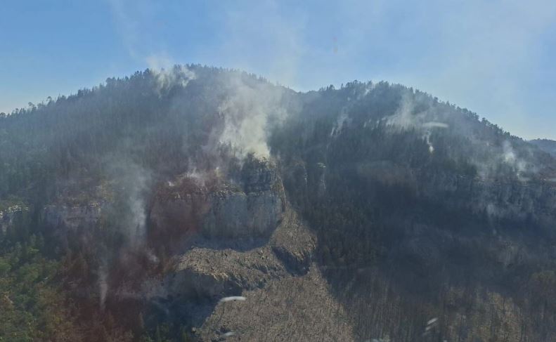 Por incendio forestal, mantienen operativo con 120 brigadistas en Vallehermoso, Tamaulipas