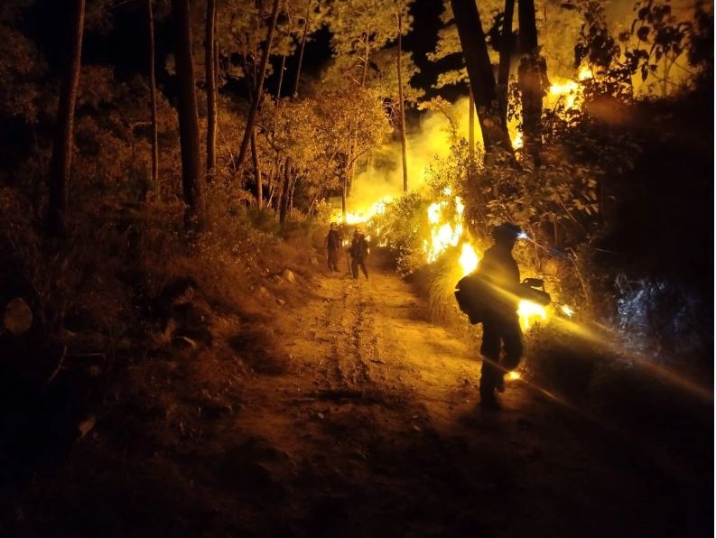 Incendio del cerro de San Juan en Tepic cumplió siete días; está controlado al 85%