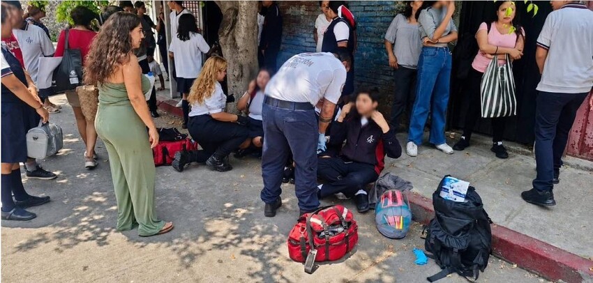 Enjambre de abejas ataca a personas en Cuautla, Morelos