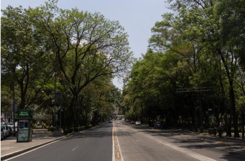 Concreto desplaza áreas verdes y eleva hasta 10 grados Celsius la sensación térmica 