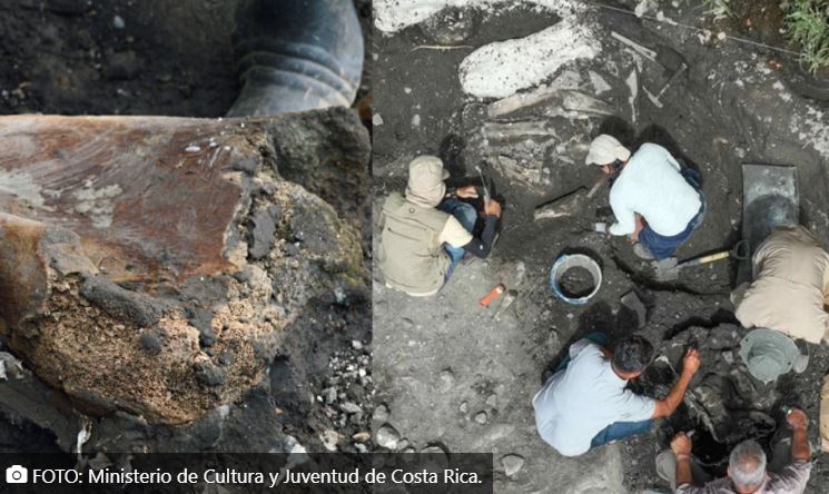 Descubren fósil de perezoso gigante en Costa Rica