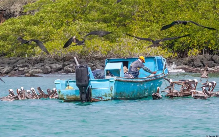 Lanzan primer bono de biodiversidad en Ecuador