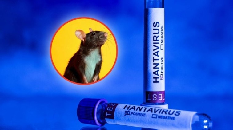 Confirman muerte por hantavirus en Estados Unidos 