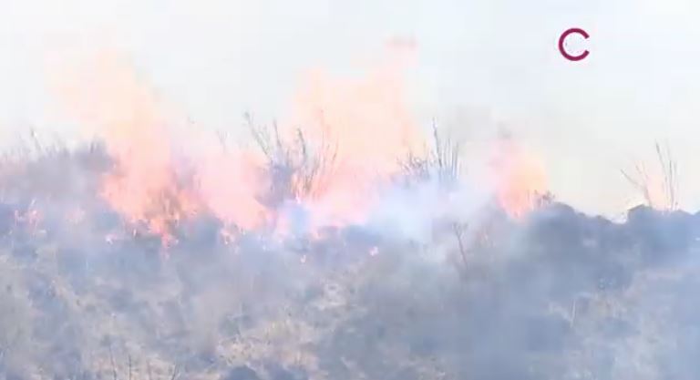Emite IMSS Tlaxcala recomendaciones por residuos de quemas agrícolas y caída de ceniza
