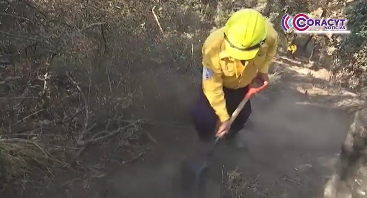 Suma SMA nuevas brigadas para prevenir incendios forestales en Tlaxcala